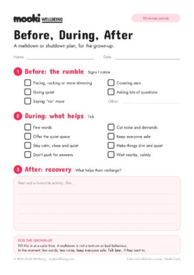 Blank Before, During, After worksheet: tickboxes for early rumble signs like pacing or covering ears, tickboxes for what helps during a meltdown or shutdown, and lines for what helps them recharge after.